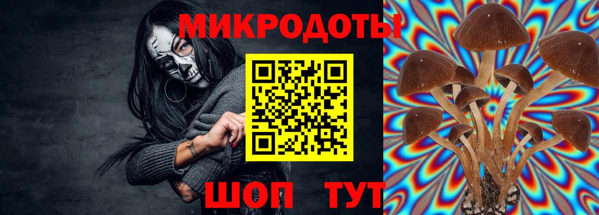 Псилоцибиновые грибы Cubensis  Вход с VPN  Звенигород 